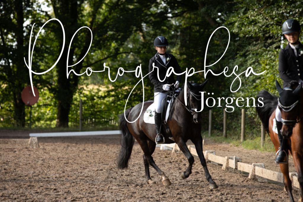 IMG_0718 | photographesa-joergens - Realisiert mit Pictrs.com
