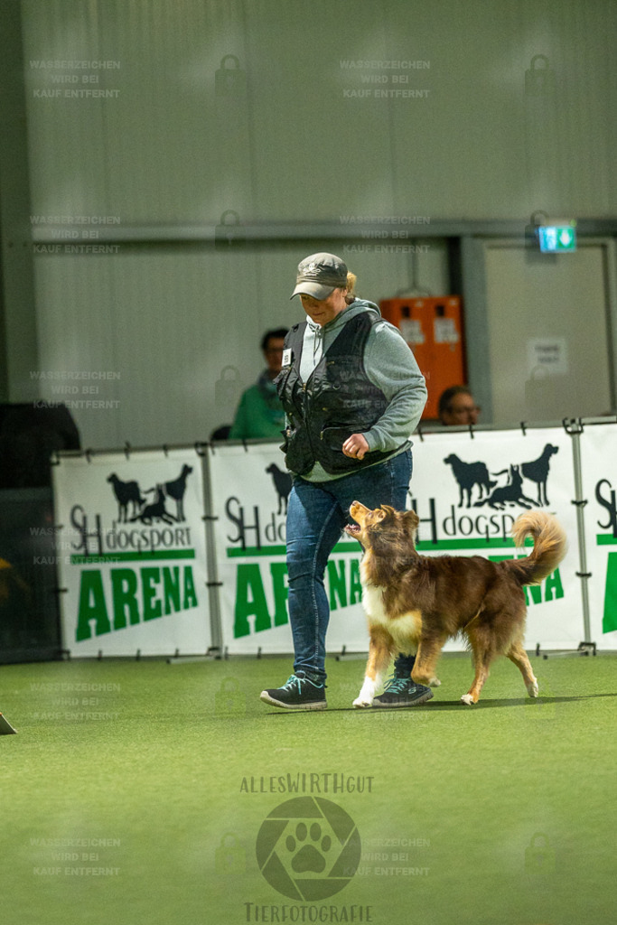 7IV04768 | Professionelle Tierfotografie in Mönchengladbach von Daniel Wirth (allesWIRTHgut). Liebevolle & natürliche Bilder von Hunden & Katzen für unvergessliche Erinnerungen.