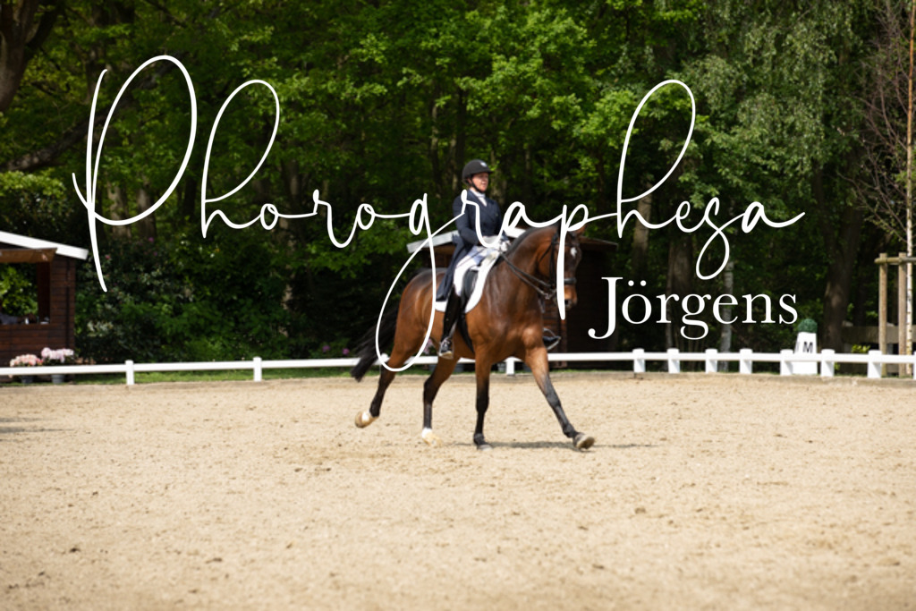 IMG_2047 | photographesa-joergens - Realisiert mit Pictrs.com