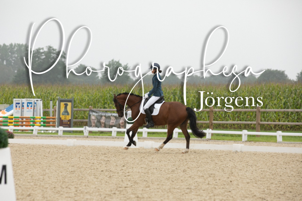 IMG_0881 | photographesa-joergens - Realisiert mit Pictrs.com
