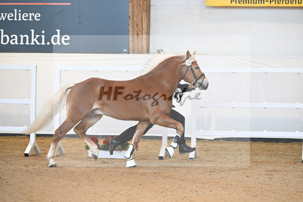 Kat-Nr. 16 v. Sturmdrang_HLG Schwaiganger_2230220 | hf-fotografie - Realisiert mit Pictrs.com