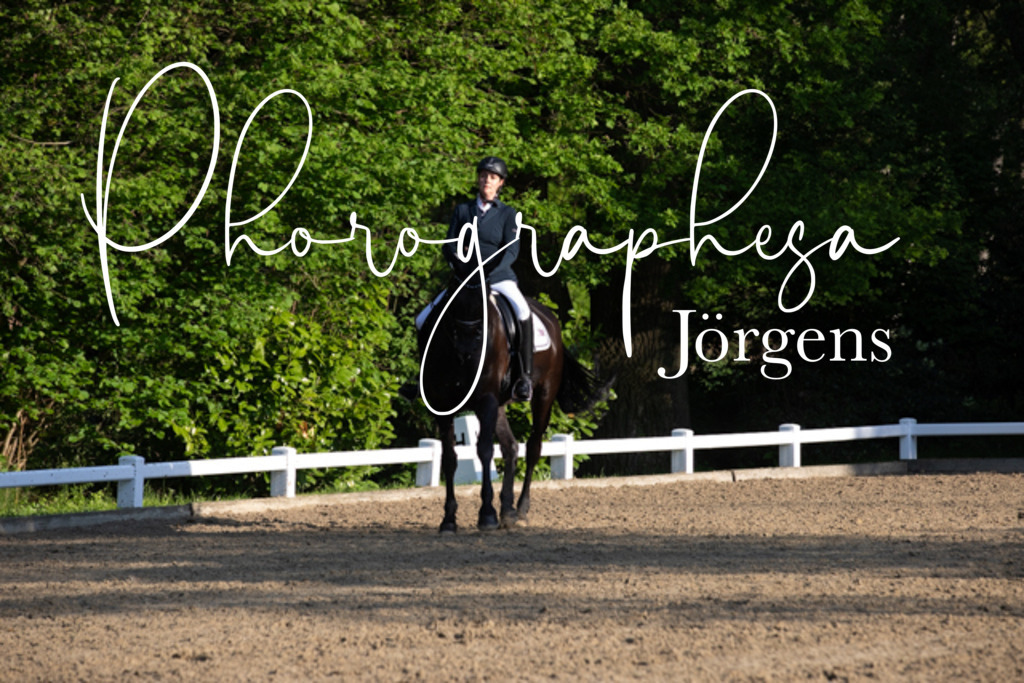 IMG_2058 | photographesa-joergens - Realisiert mit Pictrs.com