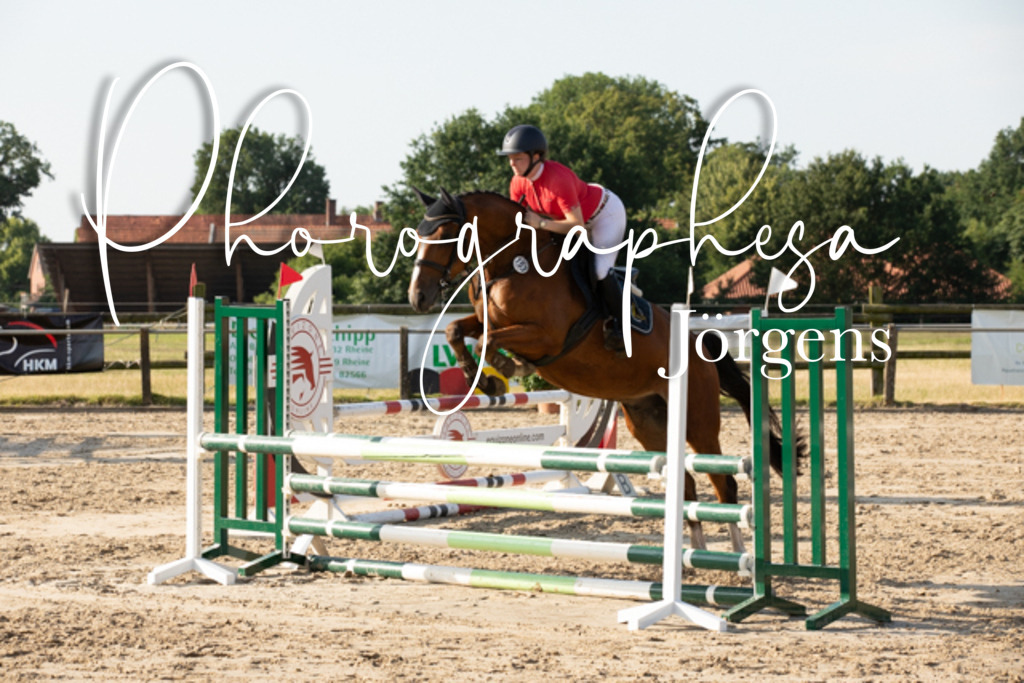 IMG_2561 | photographesa-joergens - Realisiert mit Pictrs.com