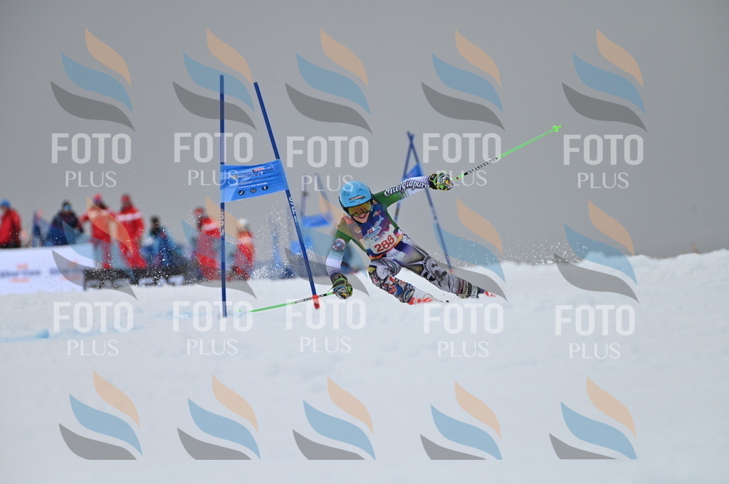 AGV_6114 | holidayphoto