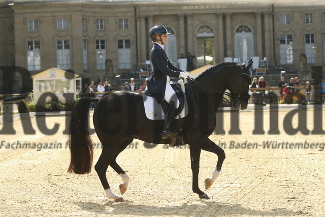 Ludwigsburg_2022_Prfg.Nr.03_FEI Grand Prix_Susan Dutta_Don Design Dc (8) | Alle Fotos der Reiterjournal Fotografin Doris Matthaes im Reiterjournal Online-Fotoshop. - Realisiert mit Pictrs.com