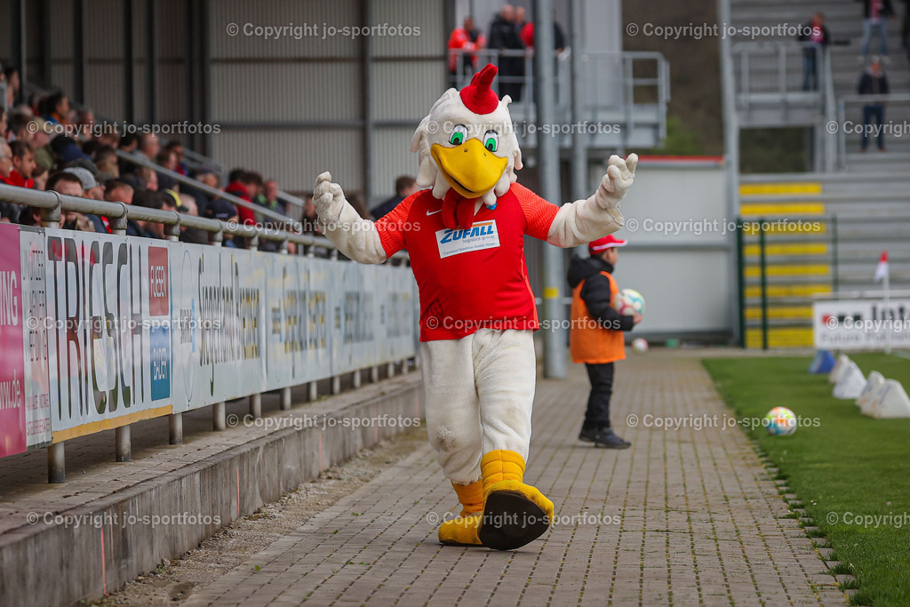 BQ3I7047 | 29.04.2023; Regionalliga Südwest; SIBRE Sportzentrum Haarwasen; TSV Steinbach Haiger - KSV Hessen Kassel; Ergebnis: 2:0 (0:0)