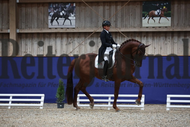 Zeutern_2024_Prfg.Nr.02_Inter II_Dorothee Schneider_Vainqueur 22 (11) | Alle Fotos der Reiterjournal Fotografin Doris Matthaes im Reiterjournal Online-Fotoshop. - Realizzato con Pictrs.com