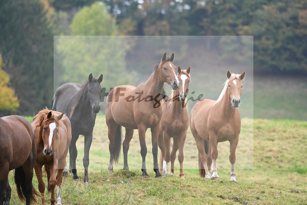 5622395 | hf-fotografie - Realisiert mit Pictrs.com