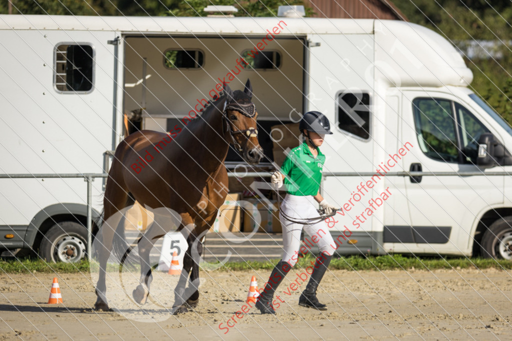 IMG_7125 | Hier findest Du viele Augenblicke aus den Bereichen der Turnier-, Sport- & Tierfotografie. Bilder mit deinem Liebling, Portrait-, Bewerbungs-, Businessbilder können ebenfalls schnell und einfach erstellt werden.