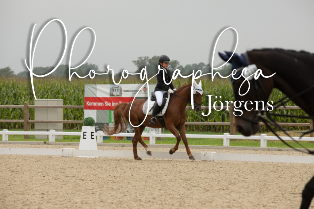 IMG_1447 | photographesa-joergens - Realisiert mit Pictrs.com