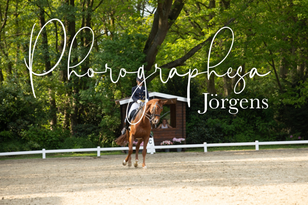 IMG_8582 | photographesa-joergens - Realisiert mit Pictrs.com