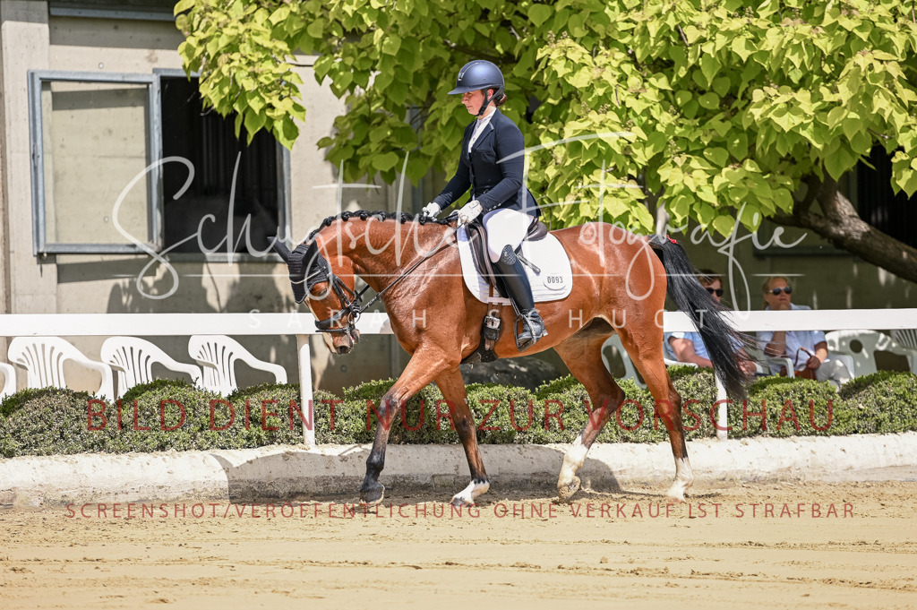 Schugtsche-Aluta25-48.Reitpferfdeprf.-121 | Schugtsche Fotografie - Realisiert mit Pictrs.com