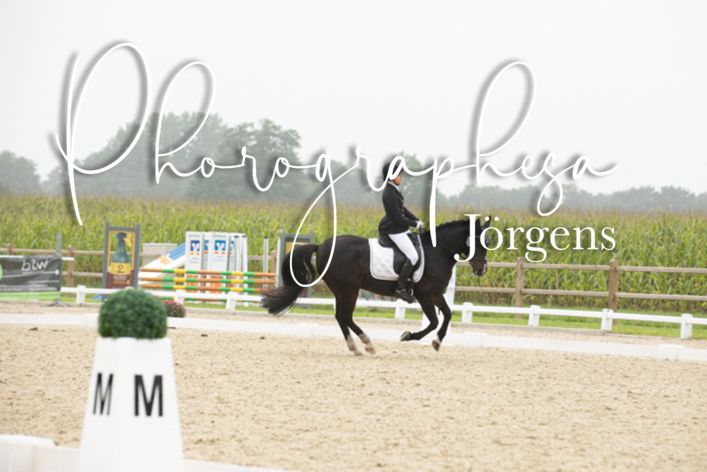 IMG_0621 | photographesa-joergens - Realisiert mit Pictrs.com