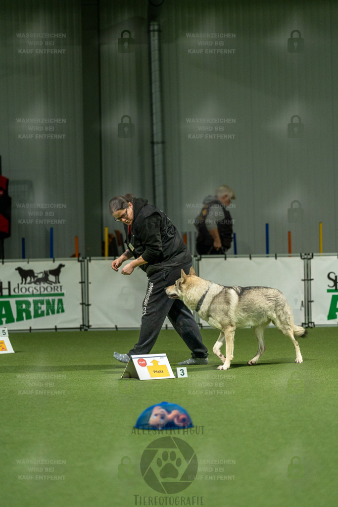 7IV09165 | Professionelle Tierfotografie in Mönchengladbach von Daniel Wirth (allesWIRTHgut). Liebevolle & natürliche Bilder von Hunden & Katzen für unvergessliche Erinnerungen.