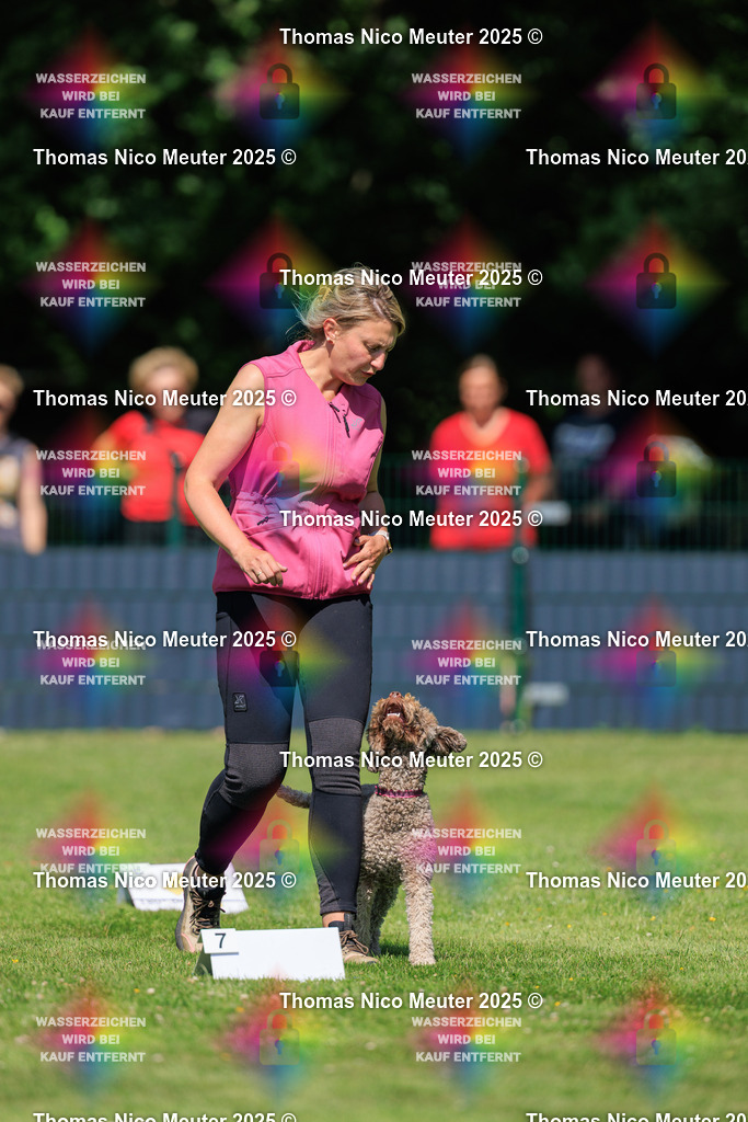 Thomas_Nico_Meuter(C)_223A5536 | Bild von Thomas Nico Meuter - Realisiert mit Pictrs.com