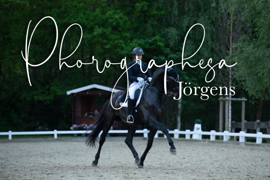 IMG_9728 | photographesa-joergens - Realisiert mit Pictrs.com