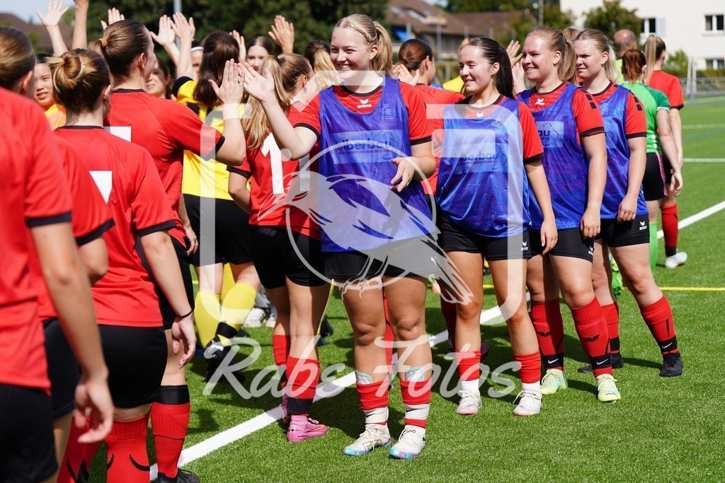 SON08270 | rabefotos