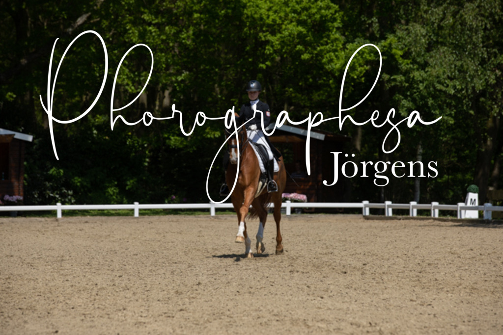 IMG_4996 | photographesa-joergens - Realisiert mit Pictrs.com