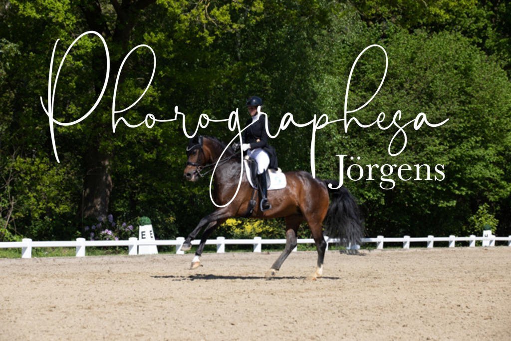 IMG_3804 | photographesa-joergens - Realisiert mit Pictrs.com