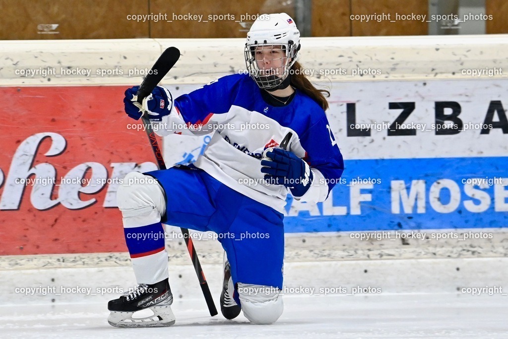 BST_3472 | hockey sports photos, Pressefotos, Sportfotos, hockey247, win 2day icehockeyleague, Handball Austria, Floorball Austria, ÖVV, Kärntner Eishockeyverband, KEHV, KFV, Kärntner Fussballverband, Österreichischer Volleyballverband, Alps Hockey League, ÖFB, 