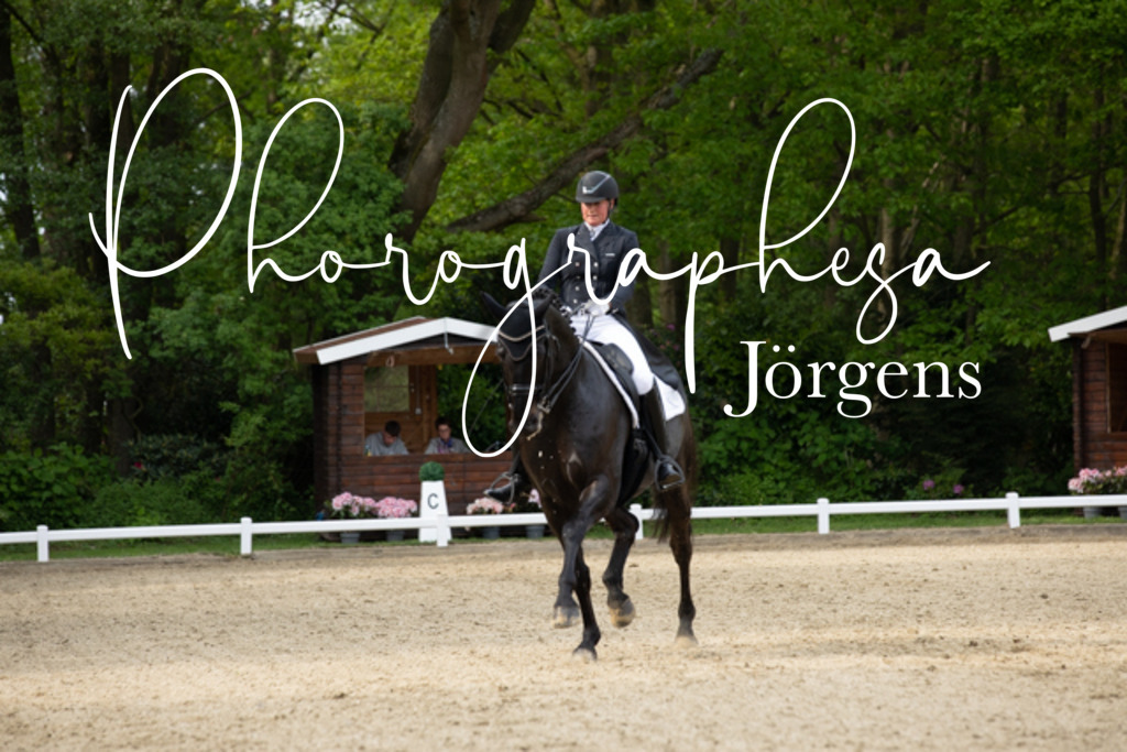 IMG_2872 | photographesa-joergens - Realisiert mit Pictrs.com