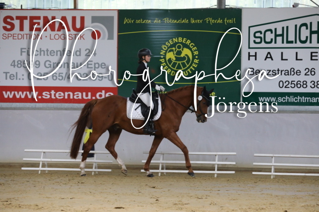 IMG_8590 | photographesa-joergens - Realisiert mit Pictrs.com