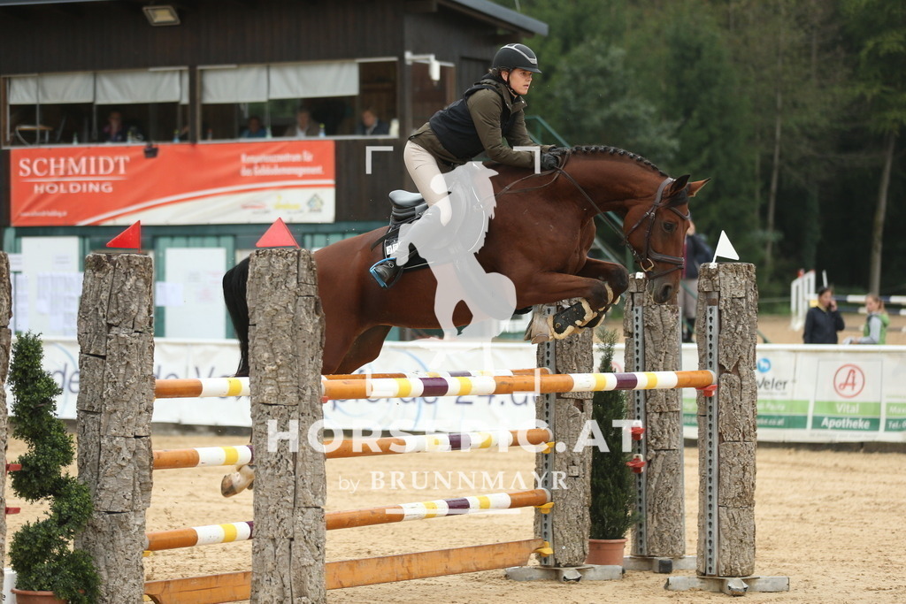 AS8V4317 | Willkommen bei Brunnmayr - Design & Fotografie – Ihrem Spezialisten für Reitturniere und Pferdeveranstaltungen in Oberösterreich, Salzburg und Bayern! Seit über 17 Jahren sind wir leidenschaftlich dabei.