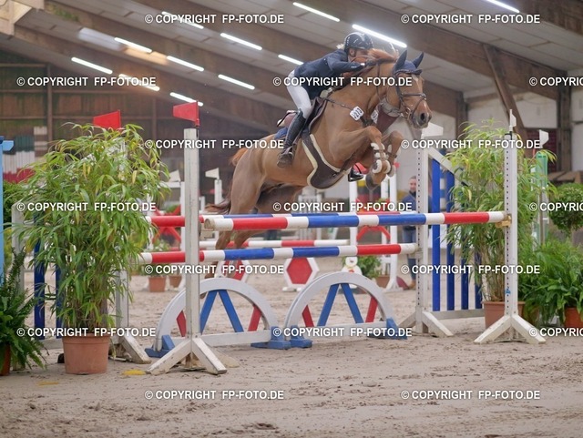 P0121703.t | FP-Foto.de - Realisiert mit Pictrs.com