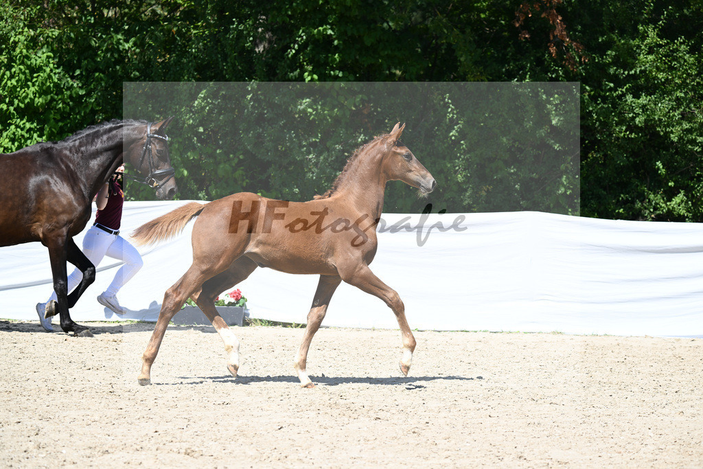 Consantos x Concetto_SF_Lang-Wengert GbR_28241107 | hf-fotografie - Realisiert mit Pictrs.com