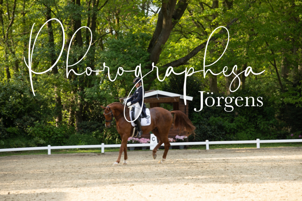 IMG_8577 | photographesa-joergens - Realisiert mit Pictrs.com