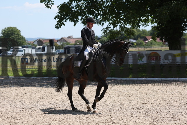 Meißenheim_2023_Prfg.Nr.13_Dressur_Kl.S_Frederik Leon Steisslinger_Quattani (14) | Alle Fotos der Reiterjournal Fotografin Doris Matthaes im Reiterjournal Online-Fotoshop. - Realizzato con Pictrs.com