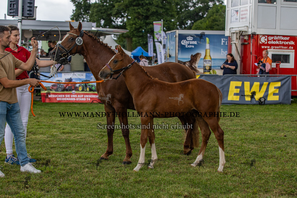 LTN 2024 (2098) | mandyhollmannphotographie