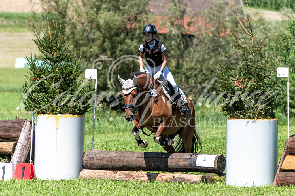 TBL_4968 | Turnierfotos von Reitturnieren in den Landkreisen Biberach, Ravensburg und in ganz Oberschwaben - von Tanja Bläschke - Colorsofahorse - Realisiert mit Pictrs.com