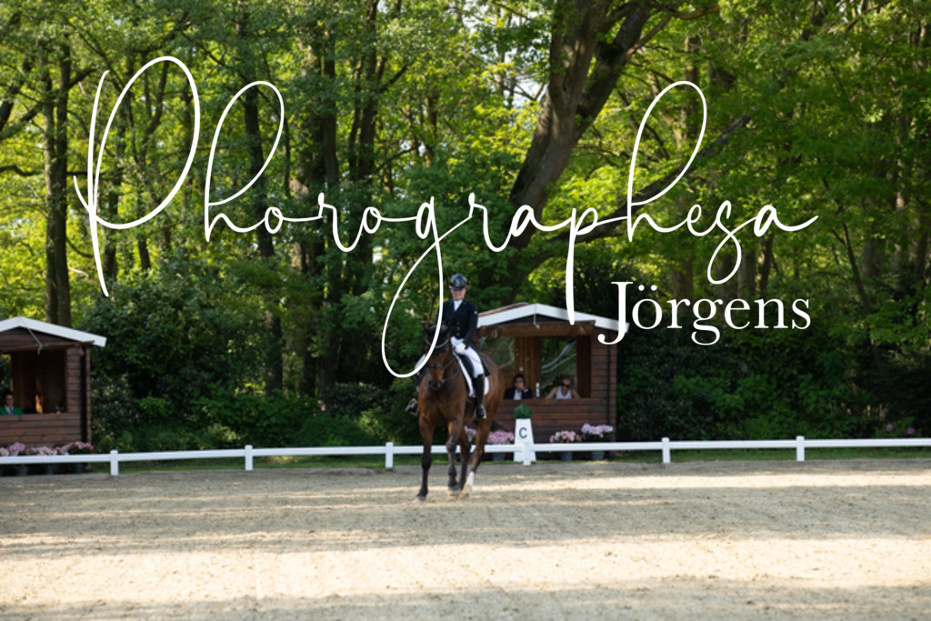 IMG_8171 | photographesa-joergens - Realisiert mit Pictrs.com