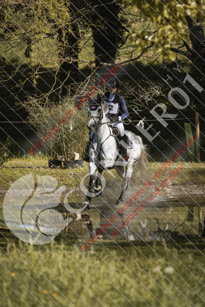 IMG_1489 | Hier findest Du viele Augenblicke aus den Bereichen der Turnier-, Sport- & Tierfotografie. Bilder mit deinem Liebling, Portrait-, Bewerbungs-, Businessbilder können ebenfalls schnell und einfach erstellt werden.