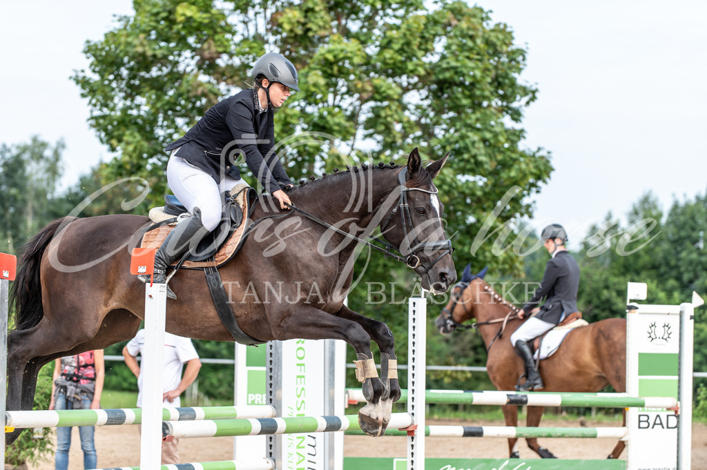 TBL_6143 | Turnierfotos von Reitturnieren in den Landkreisen Biberach, Ravensburg und in ganz Oberschwaben - von Tanja Bläschke - Colorsofahorse - Realisiert mit Pictrs.com