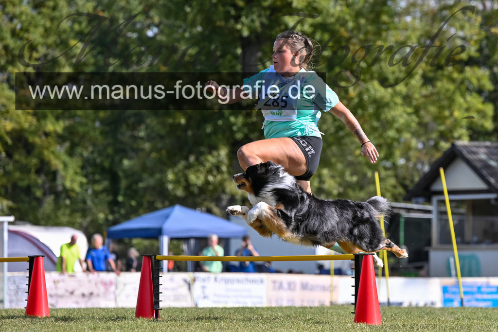 Sonntag-5861 | Hundesportfotografie Hundefotos Pferdefotos Hundefotos Tierfotos  Pferdesportfotografie Ponyfotografie Pferdefotografie Hundefotografie Tierfotografie