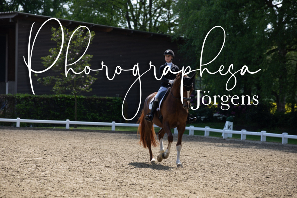 IMG_8959 | photographesa-joergens - Realisiert mit Pictrs.com