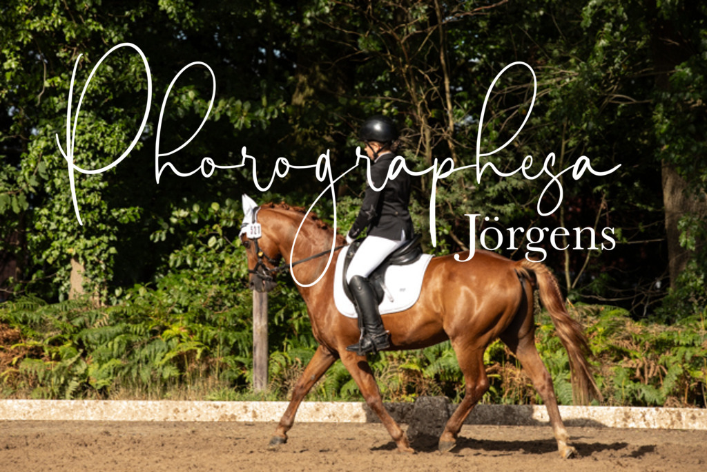 IMG_0497 | photographesa-joergens - Realisiert mit Pictrs.com