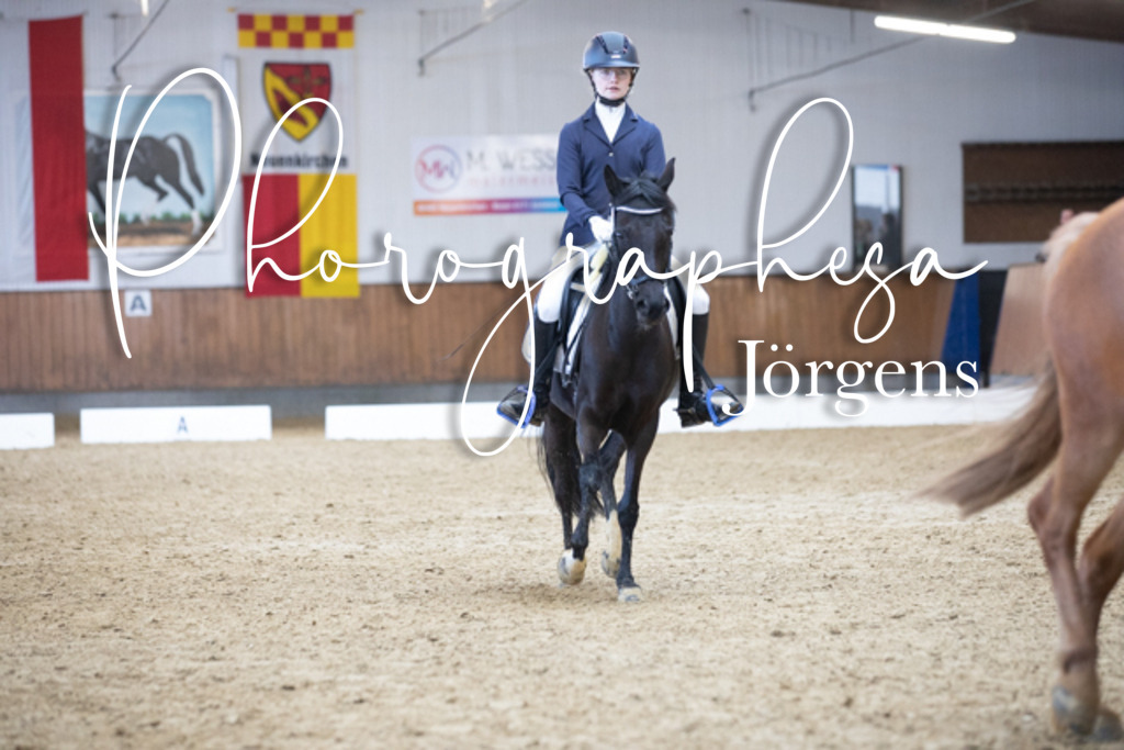 IMG_7628 | photographesa-joergens - Realisiert mit Pictrs.com