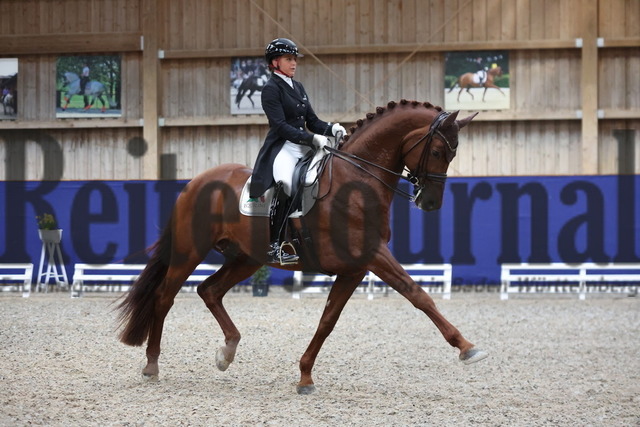 Zeutern_2024_Prfg.Nr.02_Inter II_Dorothee Schneider_Vainqueur 22 (34) | Alle Fotos der Reiterjournal Fotografin Doris Matthaes im Reiterjournal Online-Fotoshop. - Realisiert mit Pictrs.com