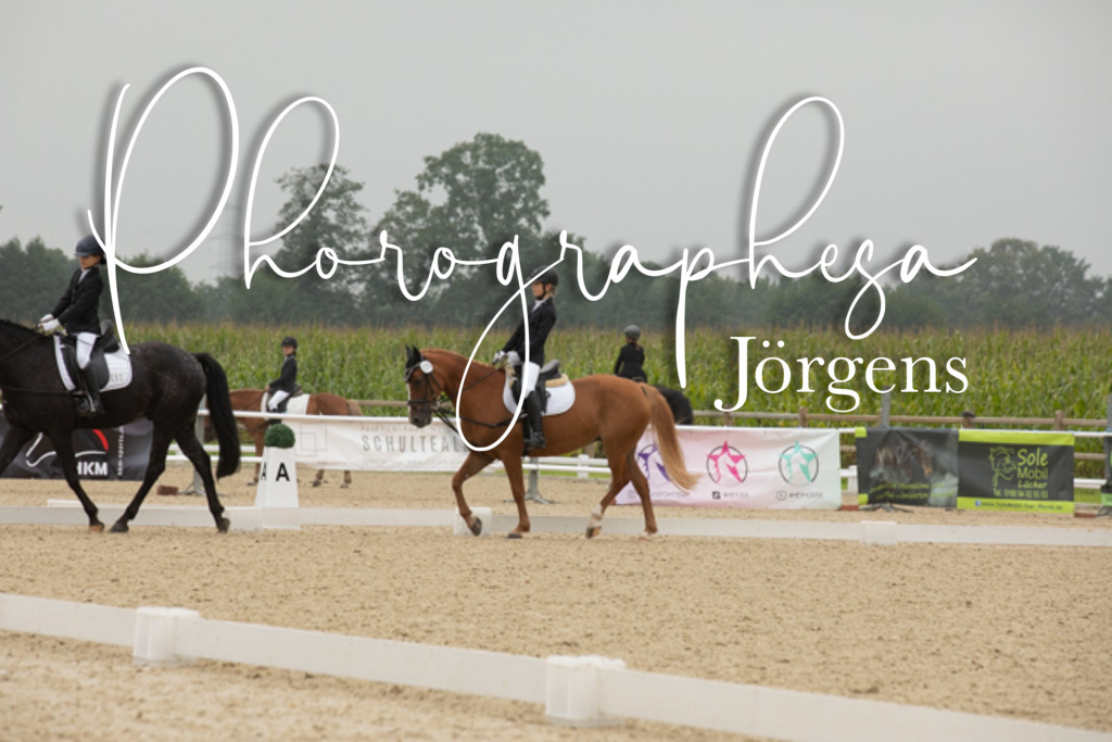IMG_1505 | photographesa-joergens - Realisiert mit Pictrs.com