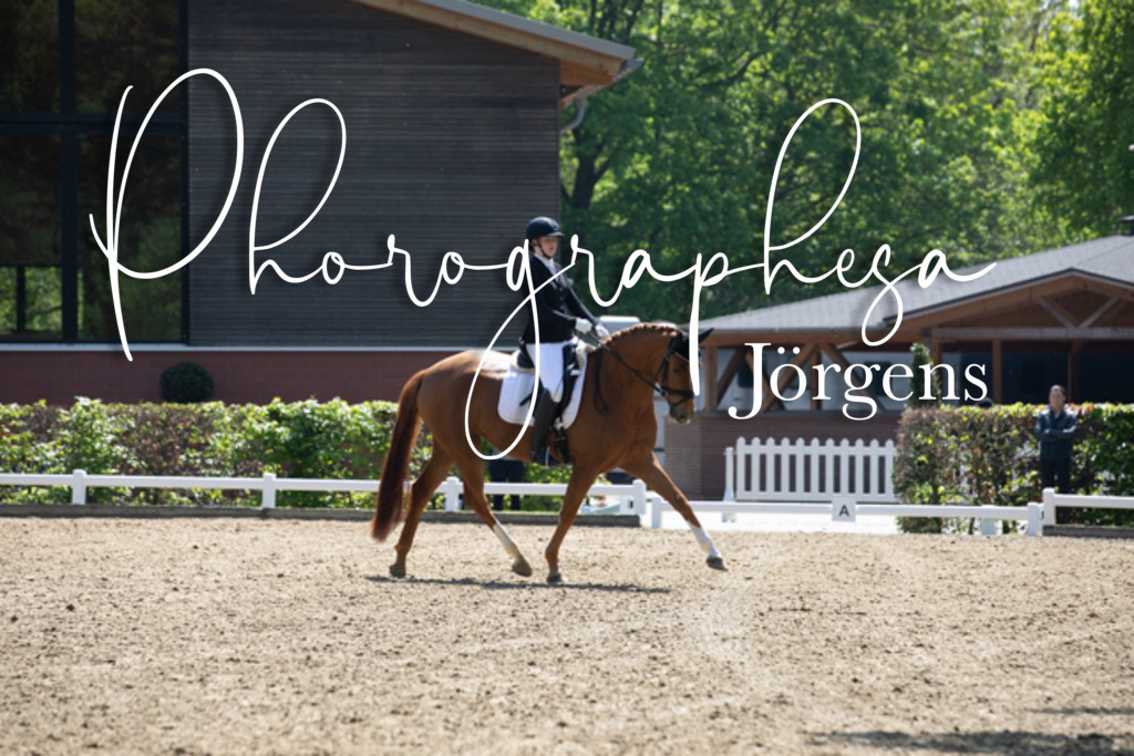 IMG_8546 | photographesa-joergens - Realisiert mit Pictrs.com