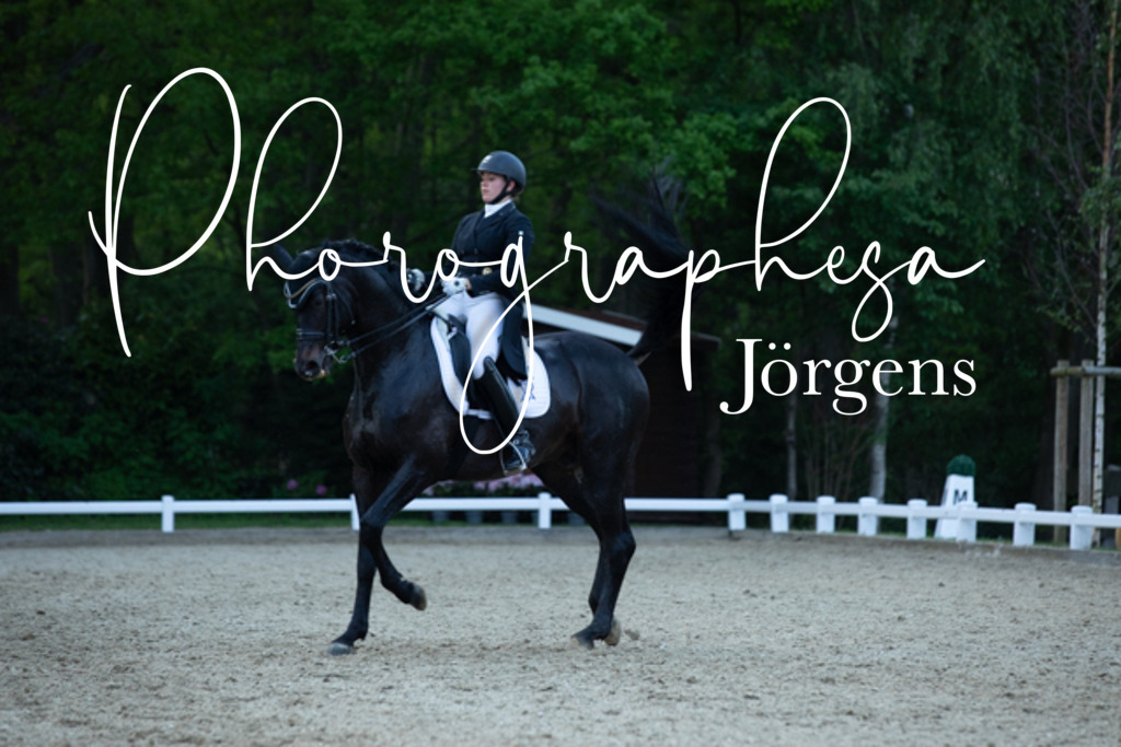 IMG_9743 | photographesa-joergens - Realisiert mit Pictrs.com