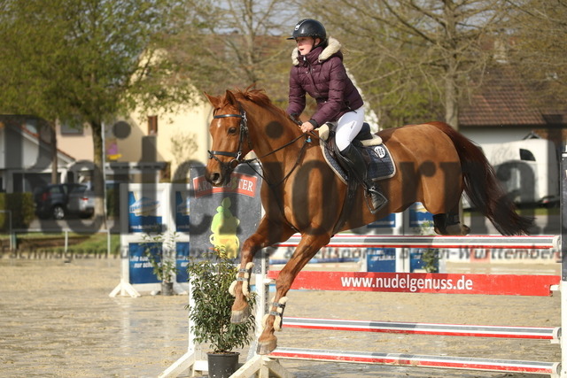 Schutterwald_2022_Springen_Kl.M_U18_Sofie Riester_Chico Blue (4) | Alle Fotos der Reiterjournal Fotografin Doris Matthaes im Reiterjournal Online-Fotoshop. - Realizzato con Pictrs.com