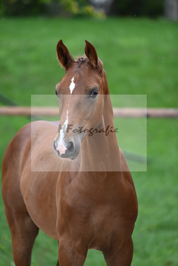 Kat-Nr. 6 HF Erdinger_Scherer_25230051 | hf-fotografie - Realisiert mit Pictrs.com