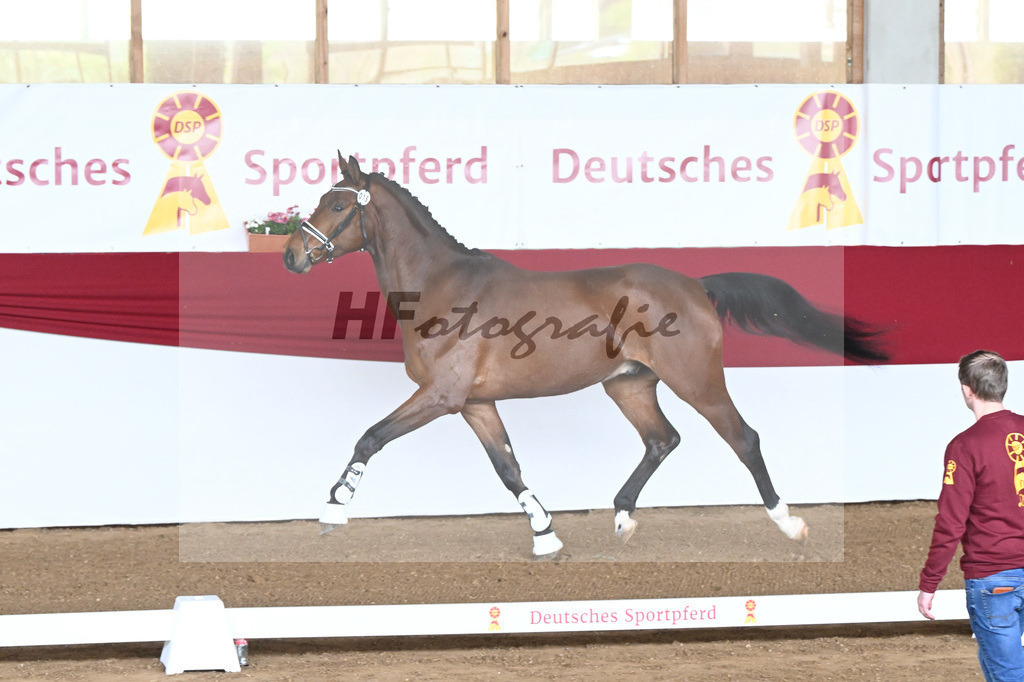 Kat-Nr. 15 Erlkoenig v. Emanuel_Rieg_9240334 | hf-fotografie - Realisiert mit Pictrs.com