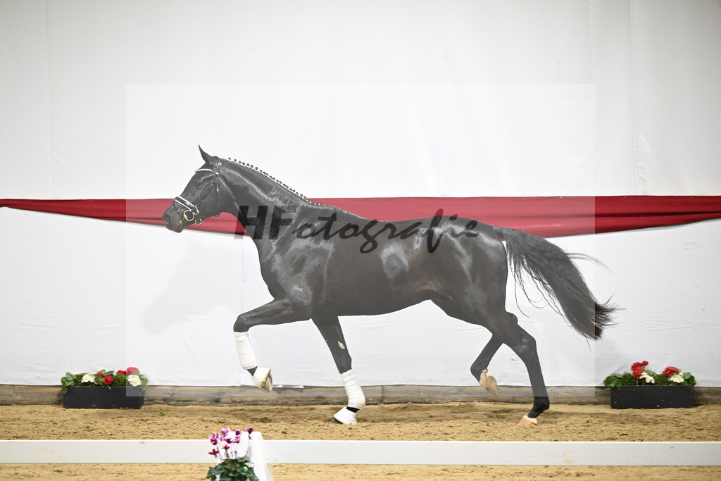 Kat-Nr. 65 v. Ferrantino_Greim_63221671 | hf-fotografie - Realisiert mit Pictrs.com