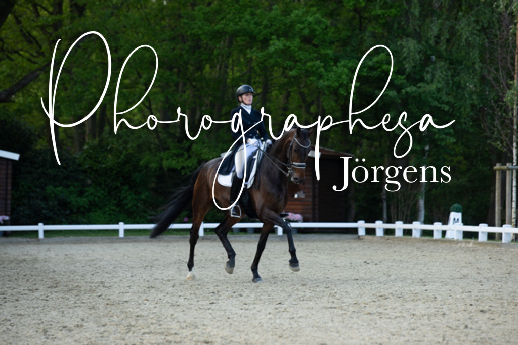 IMG_9118 | photographesa-joergens - Realisiert mit Pictrs.com