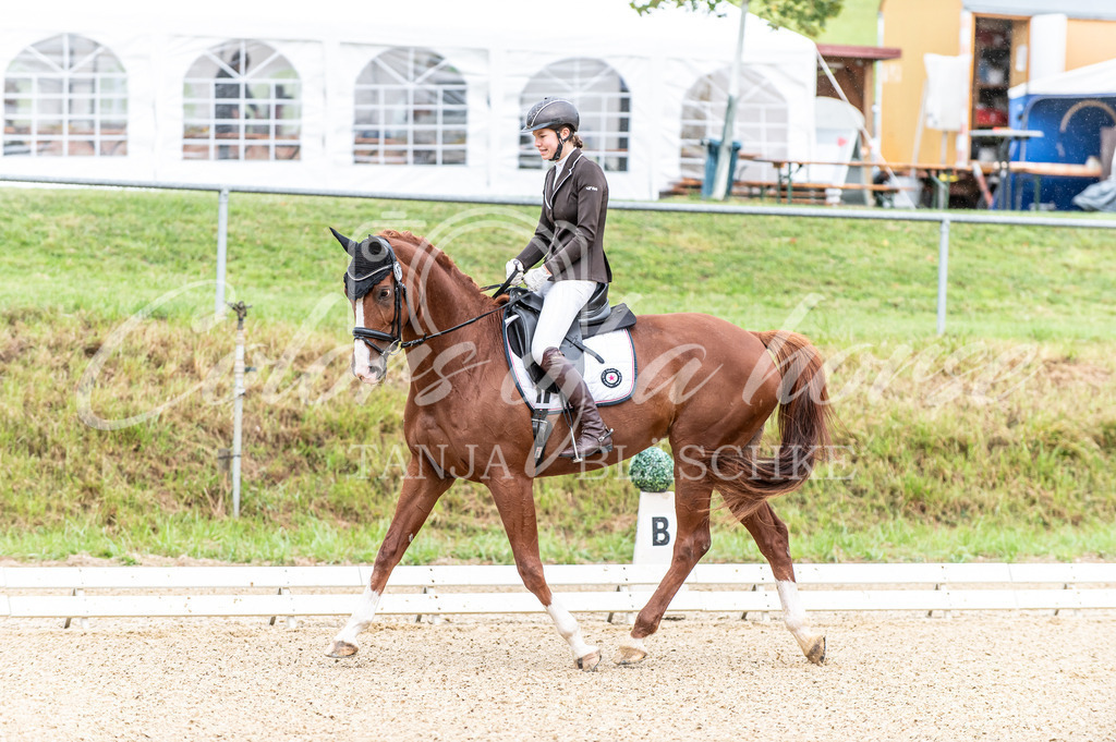 TBL_2769 | Turnierfotos von Reitturnieren in den Landkreisen Biberach, Ravensburg und in ganz Oberschwaben - von Tanja Bläschke - Colorsofahorse - Realisiert mit Pictrs.com